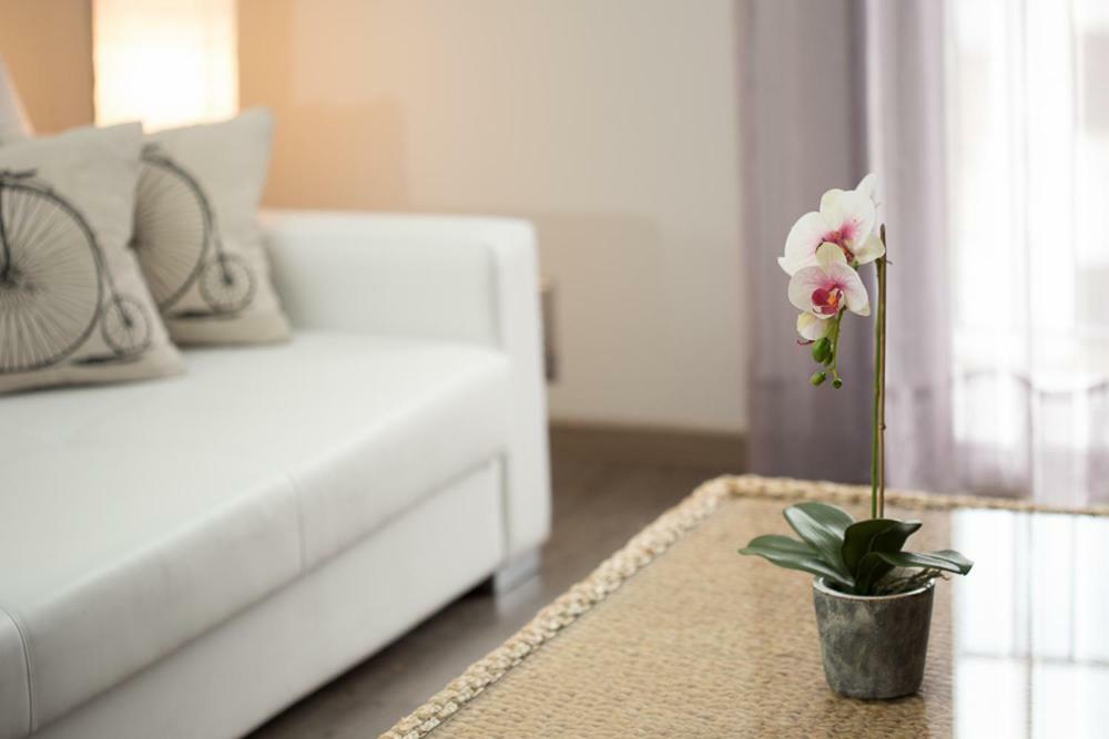 Apartamentos Dacris Херте Екстер'єр фото